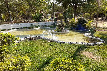 Núcleo Terapêutico Vitória