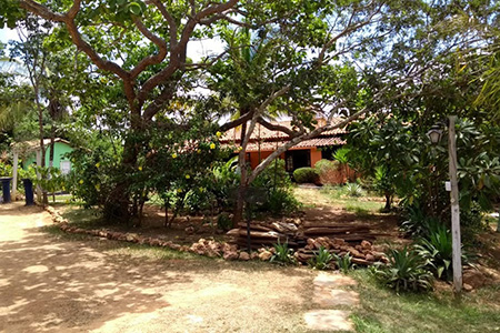 Núcleo Terapêutico Vitória