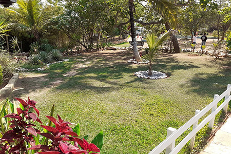 Núcleo Terapêutico Vitória