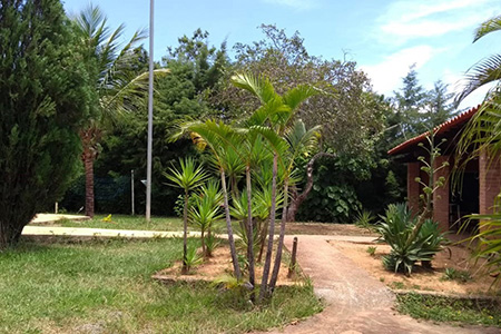 Núcleo Terapêutico Vitória