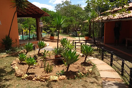 Núcleo Terapêutico Vitória