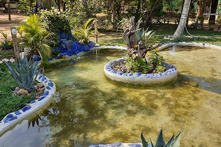 Núcleo Terapêutico Vitória