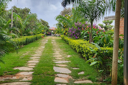 Núcleo Terapêutico Vitória