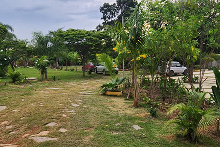 Núcleo Terapêutico Vitória