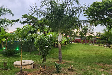 Núcleo Terapêutico Vitória