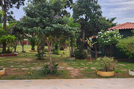 Núcleo Terapêutico Vitória